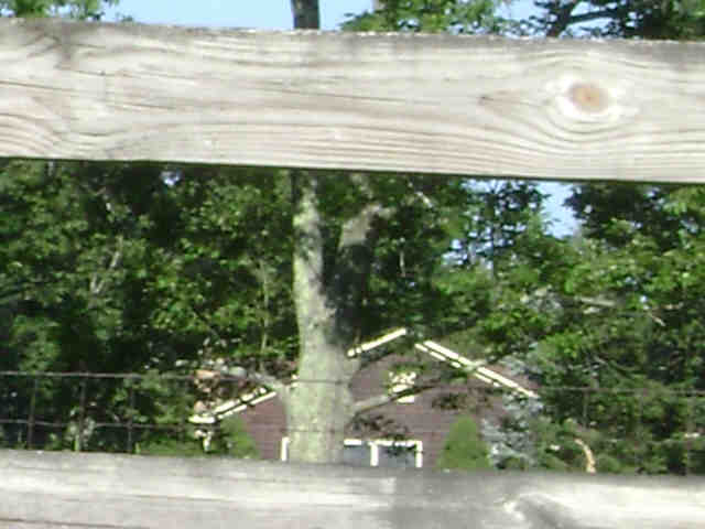 Building photograph for 324 MUNGER LN